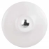 3832245.webp