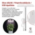 3871821.webp