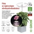 3871777.webp