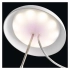 3832250.webp